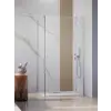 Radaway Essenza 8 KDJ szögletes zuhanykabin 110x120 átlátszó balos