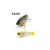 Raid Japan RAID G-DASH 130mm 40gr 004 Pearly Chart