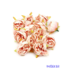  Ranunculus selyem fej 5cm 10db/csomag - Barack
