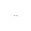 Rapala SHADOW RAP DEEP SDRD11 HLW