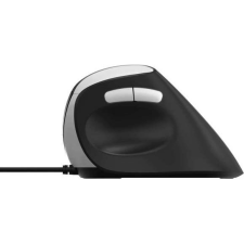 RAPOO EV200 egér Irodai Jobbkezes USB A típus Optikai 1600 DPI (002150440000) egér