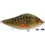 Rapture PRO SHARPER JERK S PK 70mm 17g, wobbler