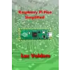  Raspberry Pi Pico Simplified