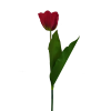 RASTYL TULIPÁN SZÁLAS
