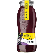 Rauch Üdítőital, szénsavmentes, 0,2 l, RAUCH " Prémium", feketeribizli üdítő, ásványviz, gyümölcslé