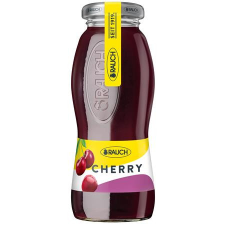 Rauch Üdítőital, szénsavmentes, 0,2 l, RAUCH " Prémium", meggy üdítő, ásványviz, gyümölcslé