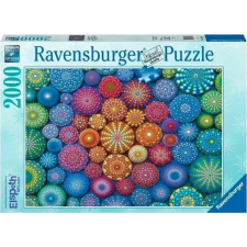 Ravensburger 2000 db-os Puzzle - Színpompás Tengerisünök 17134 (RAP 171347) puzzle, kirakós