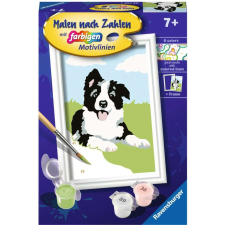 Ravensburger Border Collie Számfestő készlet (23759) kreatív és készségfejlesztő