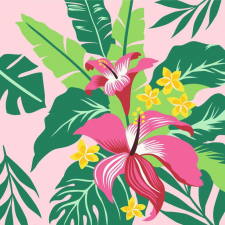 Ravensburger CreArt - Tropical Plants számfestő készlet (23728) kreatív és készségfejlesztő