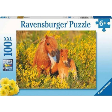 Ravensburger Puzzle - 100 db-os, Shetland-I Pónik (RG3759) (486941) puzzle, kirakós