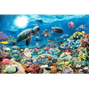 Ravensburger Puzzle 5 000 db - Tengeri élet  Ajánlott 14-99 éves korig unisex (91175)