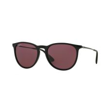 Ray-Ban 4171 ERIKA 601/5Q napszemüveg