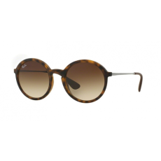 Ray-Ban 4222 865/13