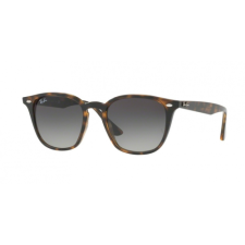 Ray-Ban 4258 710/11 napszemüveg