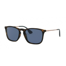 Ray-Ban CHRIS RB4187 6390/8O 54