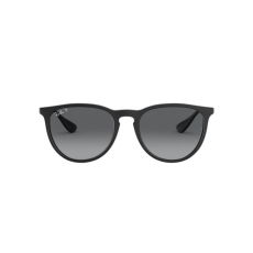 Ray-Ban Erika RB4171 622/T3