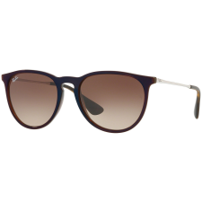 Ray-Ban Erika RB4171 631513 napszemüveg