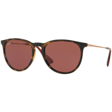 Ray-Ban Erika RB4171 639175