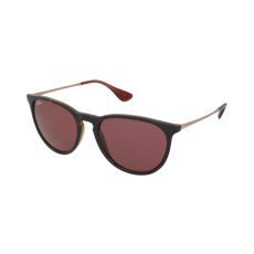 Ray-Ban Erika RB4171 639175