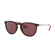 Ray-Ban ERIKA RB4171 6391/75 54