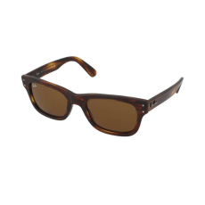 Ray-Ban Mr Burbank RB2283 954/33