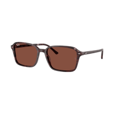 Ray-Ban Napszemüvegek Ray-Ban Raimond RB2231 1416C5 napszemüveg