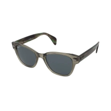 Ray-Ban Napszemüvegek Ray-Ban RB0880S 66353R