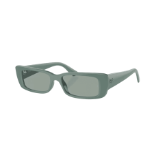Ray-Ban Napszemüvegek Ray-Ban Teru RB4425 676282 napszemüveg