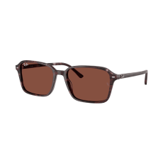 Ray-Ban Raimond RB2231 1416C5