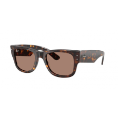 Ray-Ban Ray Ban RB0840S 902/1A