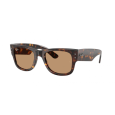 Ray-Ban Ray Ban RB0840S 902/53