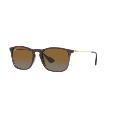 Ray-Ban Ray Ban RB4187 6593T5