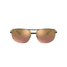 Ray-Ban Ray Ban RB4275CH 710/6B