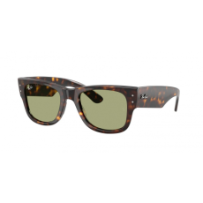 Ray-Ban RB0840S 902/4E