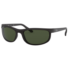 Ray-Ban RB2027 W1847 napszemüveg
