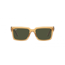 Ray-Ban RB2191 661931