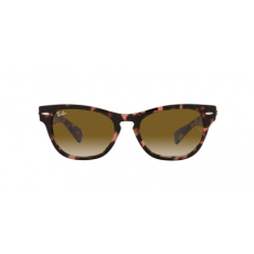 Ray-Ban RB2201 133451