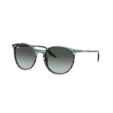 Ray-Ban RB2204 1394GK napszemüveg