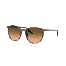 Ray-Ban RB2204 13953B