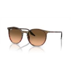 Ray-Ban RB2204 13953B STRIPED BROWN & RED PINK/BROWN GRADIENT napszemüveg