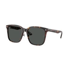 Ray-Ban RB2206D 710/87 Havana Dark Grey napszemüveg