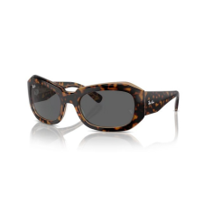 Ray-Ban RB2212 1292B1 BEATE HAVANA ON TRANSPARENT BROWN DARK GREY napszemüveg napszemüveg
