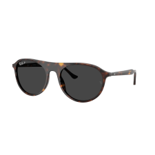 Ray-Ban RB2215 902/48 Havana Polar Black napszemüveg napszemüveg