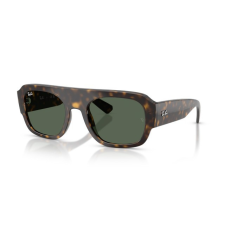 Ray-Ban RB2218 679071 HAVANA GREEN napszemüveg napszemüveg