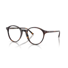 Ray-Ban RB2230 902/GH BERNARD HAVANA TRANSITIONS 8 GREY napszemüveg
