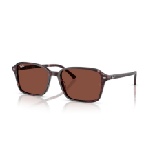 Ray-Ban RB2231 1416C5 RAIMOND TRANSPARENT FANTASY VIOLET/RED RED napszemüveg napszemüveg