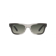 Ray-Ban RB2283 134071