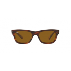 Ray-Ban RB2283 954/33