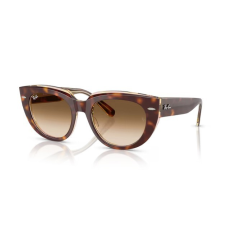 Ray-Ban RB2286 141451 DOREEN LIGHT HAVANA ON TRANSPARENT MULTICOLOR CLEAR GRADIENT BROWN napszemüveg