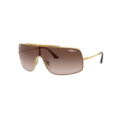Ray-Ban RB3897 001/13